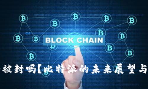 比特派会被封吗？比特派的未来展望与风险分析