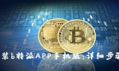  如何下载安装b特派APP手机