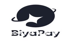 b特派钱包安全吗？详解安
