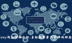 BitKeep钱包详细介绍：多链