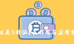 什么是B特派？其作用与应