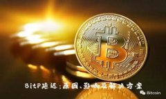 BitP延迟：原因、影响及解