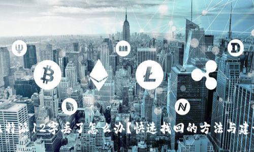比特派12字丢了怎么办？快速找回的方法与建议